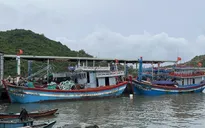 Bình Định gấp rút hoàn thành công tác phòng chống bão