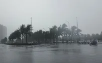Bão Noru gây mưa lớn, nguy cơ ngập lụt tại 60 quận, huyện, thành phố, thị xã thuộc 10 địa phương