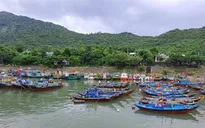 Ứng phó bão số 4, Quảng Nam sơ tán hơn 133.000 dân