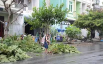 Bão số 4 đang rất mạnh, tâm bão tiếp cận gần đất liền