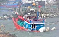 CẬP NHẬT hậu quả bão số 4: Các địa phương vùng tâm bão chưa ghi nhận thiệt hại về người