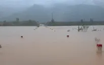 Cảnh báo mưa lũ ở miền Trung