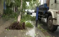 Quảng Ngãi không còn có gió mạnh, lượng mưa đã ngớt nhiều