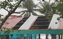 Cây xanh ngã đổ ngổn ngang trên đường phố Đà Nẵng sau khi bão số 4 đổ bộ