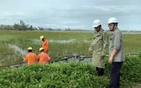 Hàng trăm ngôi nhà bị tốc mái, hơn 100.000 người bị mất điện sau bão số 4