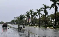 Quảng Nam: Người dân bắt đầu dọn dẹp, khắc phục hậu quả bão số 4