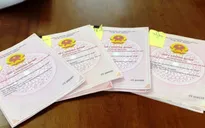Thế chấp 14 sổ đỏ giả, chiếm đoạt hơn 700 triệu đồng