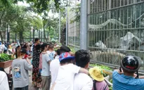 Nhiều khu vui chơi tại Hà Nội quá tải dịp nghỉ lễ