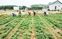 Phát huy hiệu quả công tác dân vận, tạo sự đồng thuận và niềm tin của nhân dân