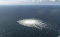 Lo ngại về ảnh hưởng của khí thoát từ đường ống dẫn khí đốt dưới biển Baltic