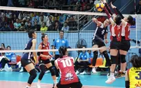 6 đội mạnh tranh tài tại Giải bóng chuyền nữ Cúp Cát Bà Amatina