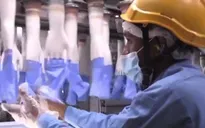 Nhiều lao động Malaysia là nạn nhân của các tổ chức lừa đảo việc làm