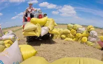 Ngành nông nghiệp bám đuổi mục tiêu xuất khẩu 50 tỷ USD