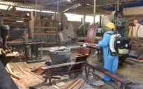 Số ca mắc sốt xuất huyết tăng 8 lần, tỉnh Nghệ An ra công văn hỏa tốc