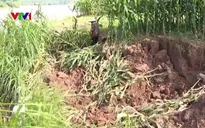 Khai thác cát gây sạt lở đất nông nghiệp