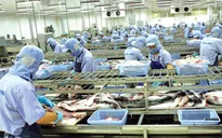 Xuất khẩu bùng nổ nhờ các hiệp định thương mại