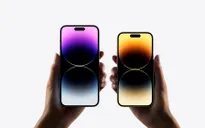 Gần 70% số màn hình iPhone 14 là do Samsung sản xuất