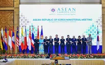 Ngoại giao Việt Nam năm 2022: Phát huy mạnh mẽ bản sắc "Cây tre Việt Nam"