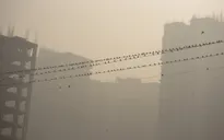 Ấn Độ hạn chế phương tiện giao thông tại thủ đô để hạn chế ô nhiễm