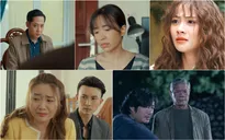 Dàn diễn viên vừa quen vừa lạ của "Dưới bóng cây hạnh phúc"