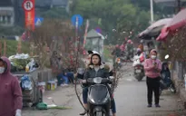 Hà Nội tổ chức 91 điểm chợ hoa phục vụ Tết Quý Mão 2023