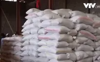 Ấn Độ xem xét dỡ bỏ các hạn chế xuất khẩu gạo