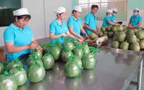 GDP ngành nông nghiệp tăng cao nhất 3 năm