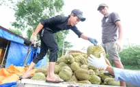 Trung Quốc hút hàng, doanh nghiệp nông sản "ăn Tết lớn"