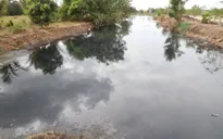 Tây Ninh bắt quả tang một công ty xả nước thải giặt rửa mủ cao su chưa xử lý ra môi trường