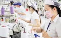 Thị trường lao động: Thu nhập tăng, thưởng Tết tăng