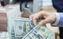 Phó Tổng Giám đốc IMF: NHNN Việt Nam nên tiếp tục chính sách tỷ giá linh hoạt