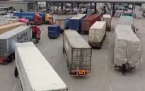 Thông quan nông sản tăng mạnh đầu năm