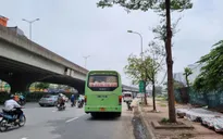 Xử lý nghiêm xe khách dừng đỗ sai quy định dịp Tết Nguyên đán