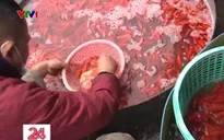 Chợ cá nhộn nhịp trước ngày Tết ông Công, ông Táo