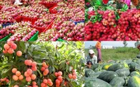 Triển vọng xuất khẩu nông sản Việt