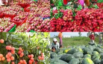 Trung Quốc - Thị trường lớn nhất của nông sản Việt Nam