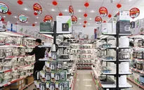 Ông lớn bán lẻ cán mốc 300 cửa hàng gia dụng