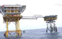 Xuân về trên nhà giàn DK1