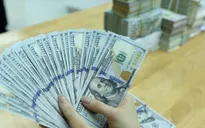 Ngân hàng Nhà nước: Hỗ trợ lãi suất cho vay ngoại tệ có thể gây ra áp lực tới tỷ giá