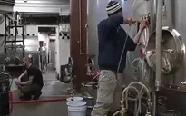 Tăng trưởng việc làm toàn cầu năm nay sẽ chỉ ở mức 1%