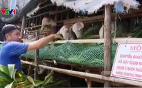 Luôn ưu tiên đảm bảo an sinh xã hội