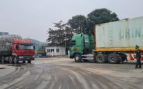 Lào Cai thông quan chuyến hàng đầu năm 2023