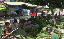 Chợ lá dong ở TP Hồ Chí Minh nhộn nhịp ngày Tết