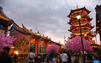 Không khí Tết ngập tràn Trung Quốc