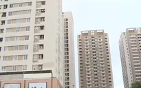 Giá đất nền giảm mạnh, một phân khúc bất động sản vẫn tăng