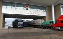 Sôi động xuất nhập khẩu ngày đầu năm mới Quý Mão