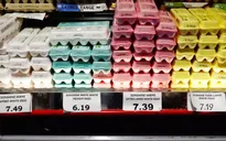 Mỹ trấn áp vấn nạn buôn lậu trứng
