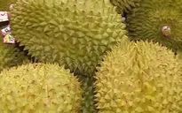 Sầu riêng Việt Nam được ưa chuộng tại Trung Quốc