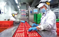 Trên 90% lao động trở lại TP Hồ Chí Minh làm việc sau Tết