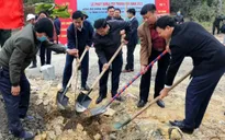 Quảng Ninh: Hơn 174 ha cây xanh được trồng mới nhân dịp phát động Tết trồng cây